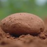 How to Get Clay in Stardew Valley: The Fastest Reliable Methods